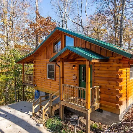 Cozy Canopy